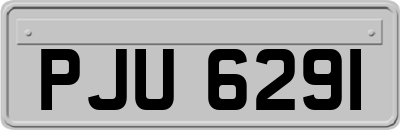 PJU6291