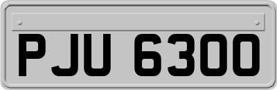 PJU6300