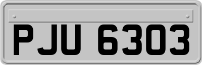 PJU6303