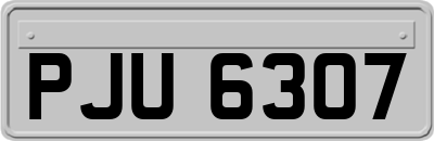 PJU6307