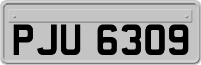 PJU6309