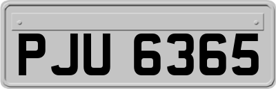 PJU6365