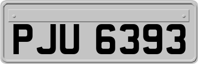 PJU6393