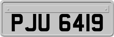 PJU6419