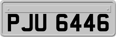 PJU6446