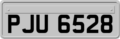 PJU6528