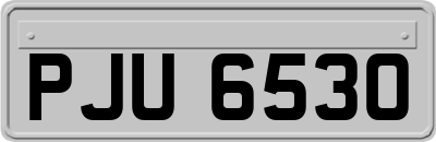PJU6530