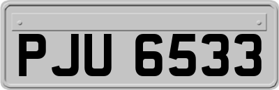 PJU6533