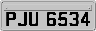 PJU6534