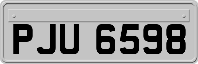 PJU6598