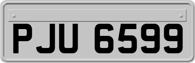 PJU6599