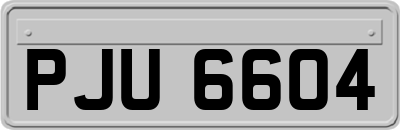 PJU6604