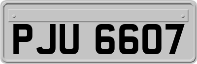PJU6607