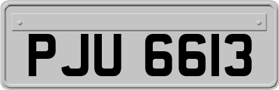 PJU6613