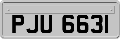 PJU6631