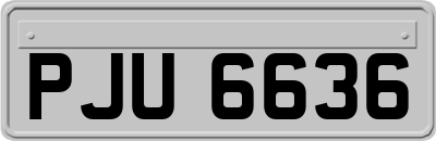PJU6636