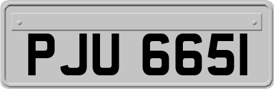 PJU6651