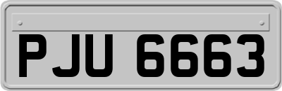 PJU6663