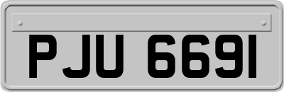 PJU6691