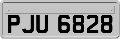 PJU6828