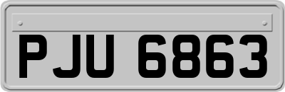 PJU6863
