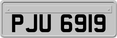 PJU6919