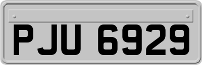 PJU6929