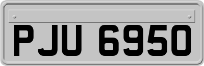 PJU6950