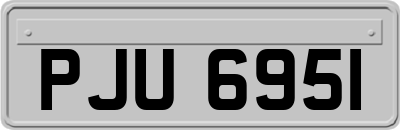 PJU6951