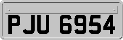 PJU6954