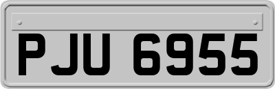 PJU6955