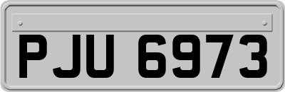 PJU6973