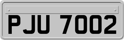 PJU7002