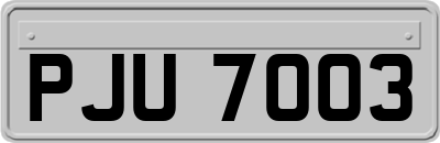 PJU7003