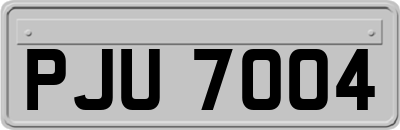 PJU7004