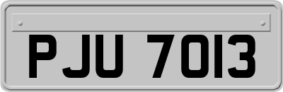 PJU7013
