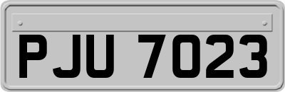 PJU7023