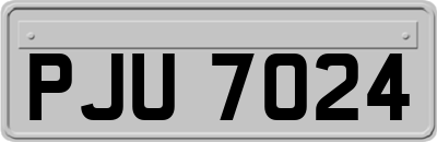 PJU7024