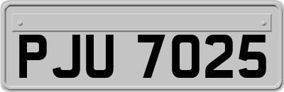 PJU7025