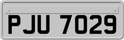 PJU7029