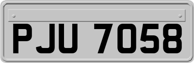 PJU7058