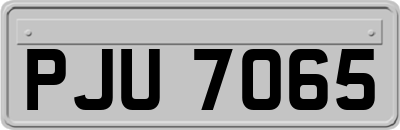 PJU7065