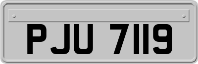 PJU7119