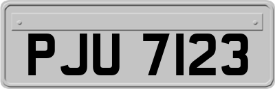 PJU7123