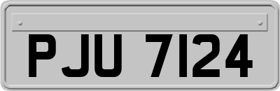 PJU7124