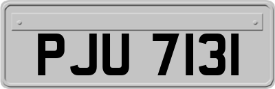 PJU7131