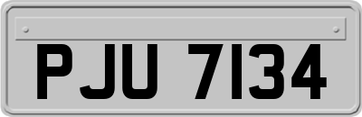 PJU7134