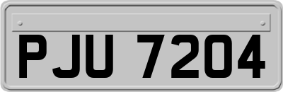 PJU7204