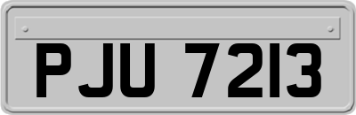 PJU7213