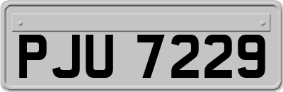 PJU7229